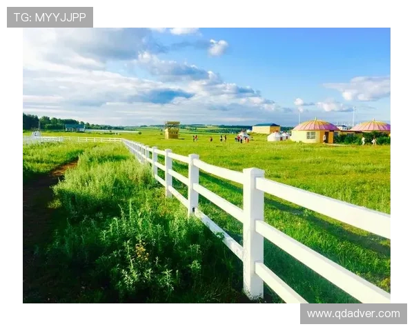 围绕王的盛宴杜鹃展开的宫廷风云权谋大剧波澜再起新篇章